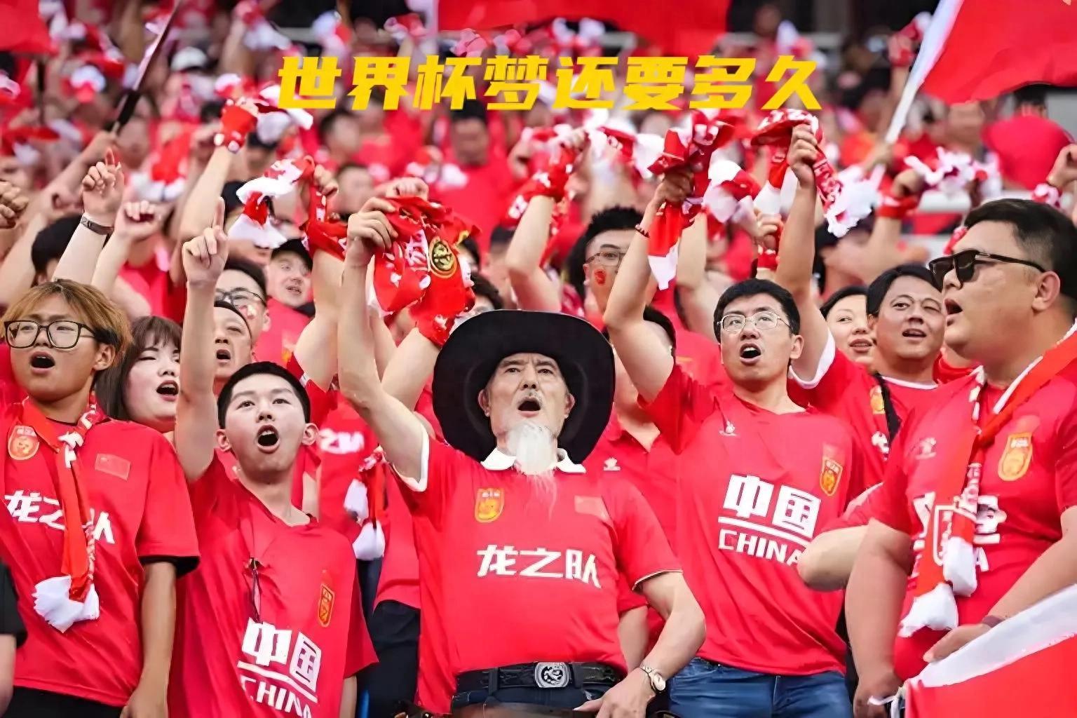 2046进世界杯？东亚足协欲联合申办世界杯，中国男足有望直通正赛的简单介绍
