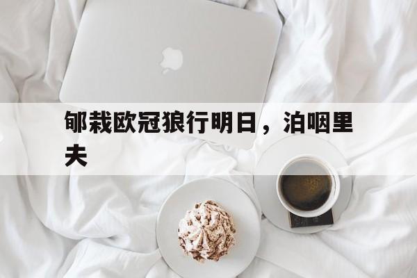 郇栽欧冠狼行明日，泊咽里夫(2024曼城欧冠莱比锡最新消息)